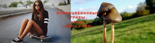 индика Красноперекопск