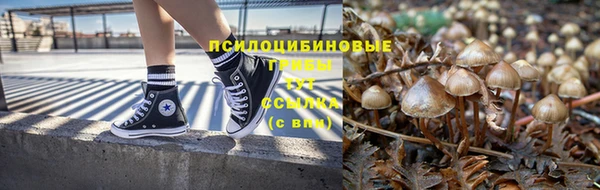 синтетический гашиш Белокуриха