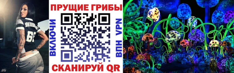 Галлюциногенные грибы мицелий  где найти   площадка клад  Буинск 
